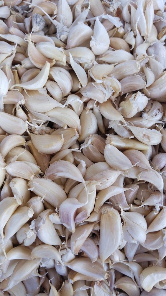 A Grade Off White Unpeeled Garlic, Packaging Type: Loose
