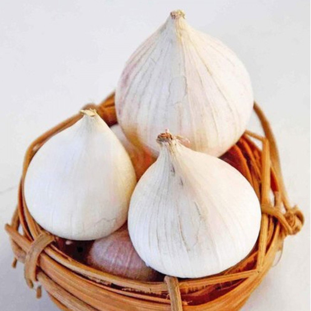 White A Grade Best Quality Single Cloves Garlic