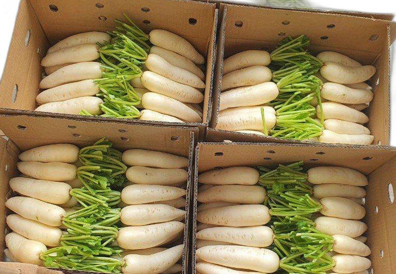 Pan India Indian Fresh Radish, Packaging Size: 5 Kg