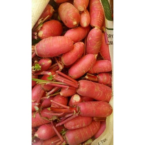 A Grade Fresh Red Radish, Gunny Bag, 5 Kg