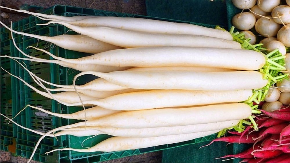 Manual Raphanus Sativus, Packaging Type: Bag