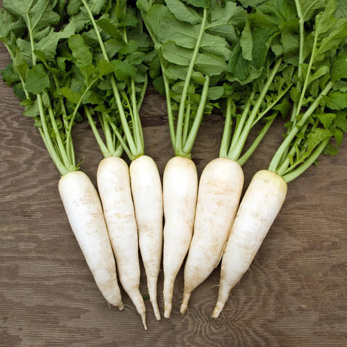 Radish Fresh Raddish, Pesticide Free (for Raw Products)