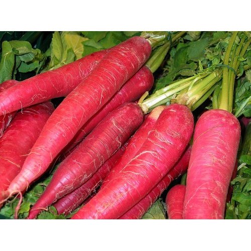 A Grade Red Radish, Packaging Type: Gunny Bag, Packaging Size: 10 kg