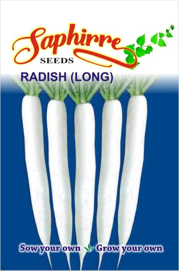 Long White Radish