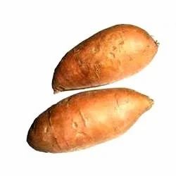 Boiled Sweet Potato