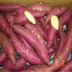 Boiled Sweet Potato