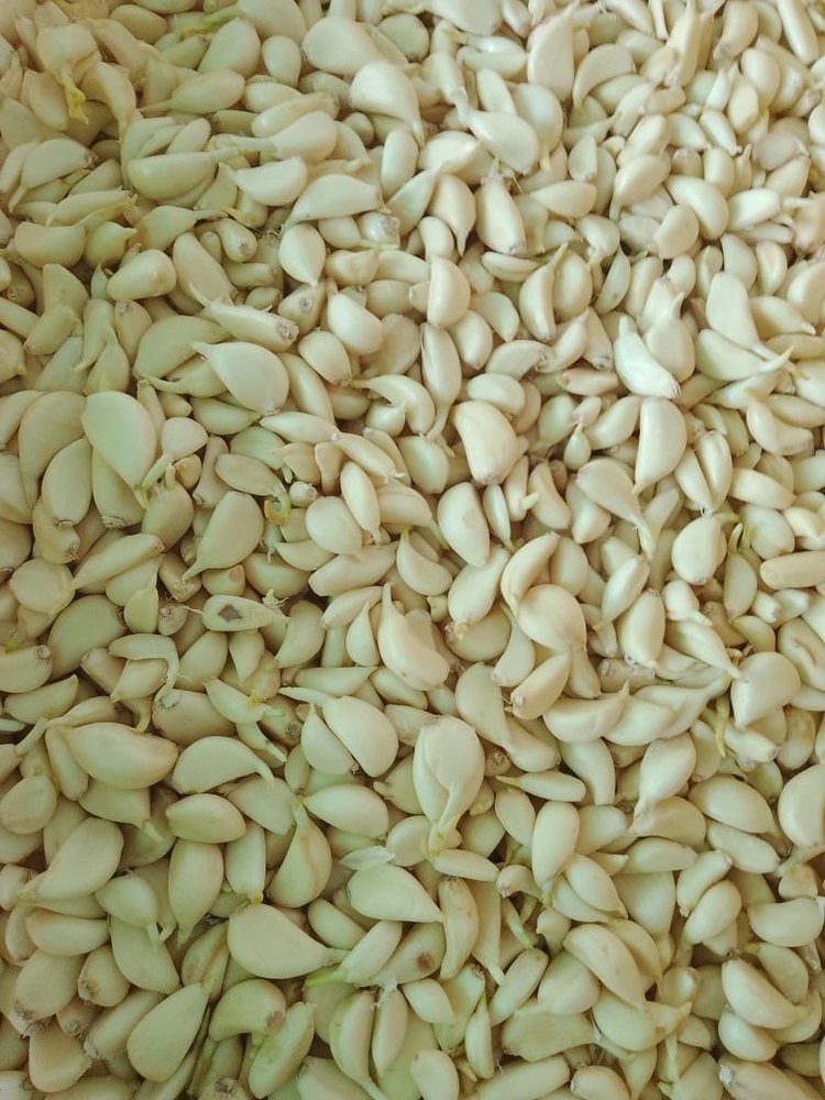 A Grade White Frozen Peeled Garlic Clove, Packaging Size: 500g, Deep Freeze