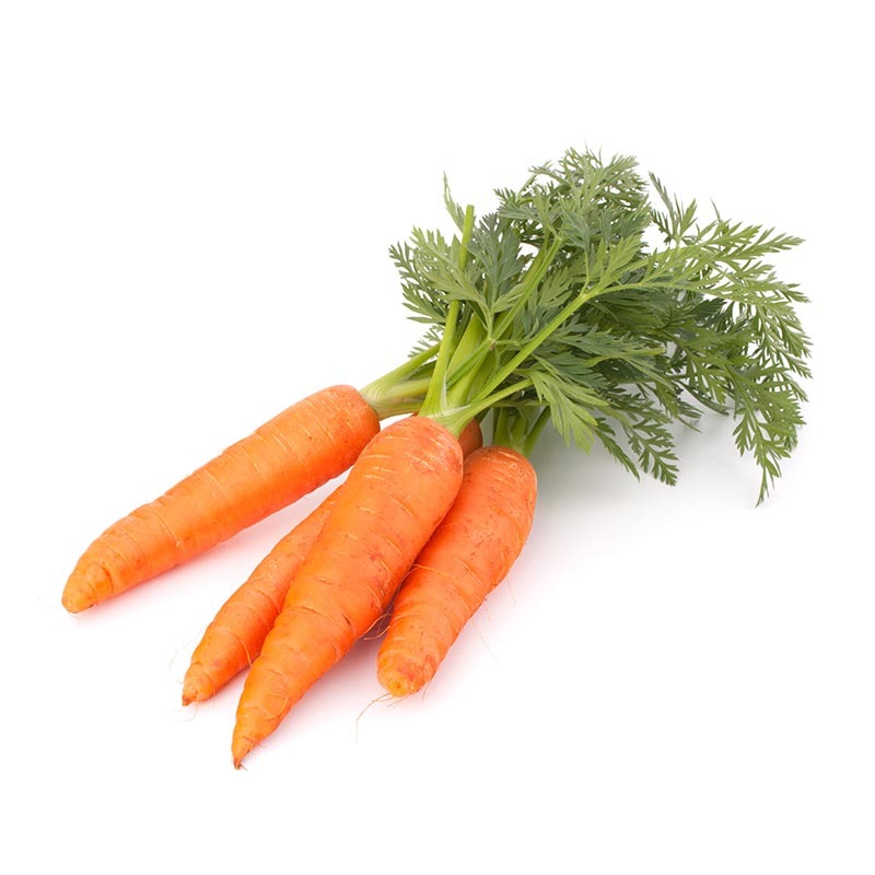 Frozen Carrot