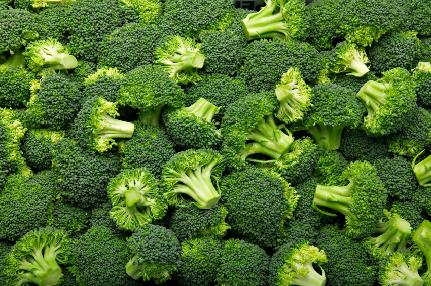 A Grade Green Broccoli, Packaging Type: Pp Bag, Packaging Size: 20-30 Kg