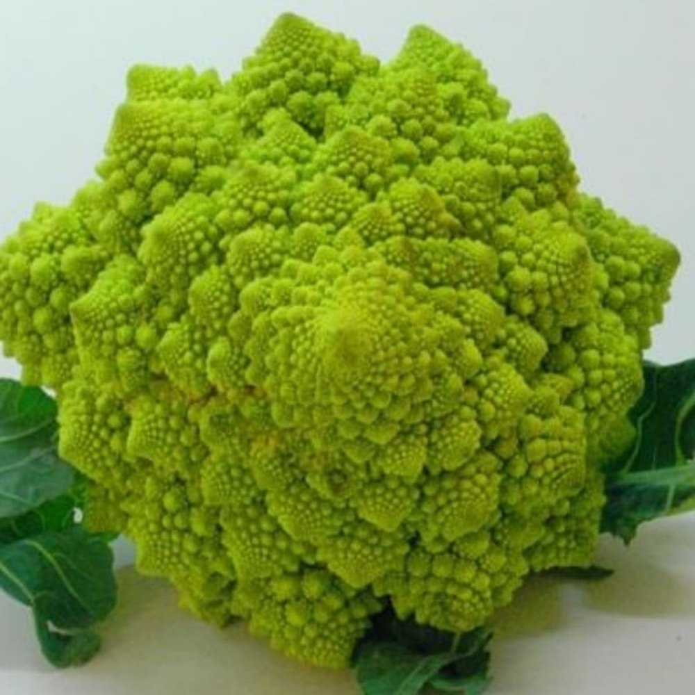 A Grade Green Fresh Romanesco Broccoli, Packaging Type: Loose
