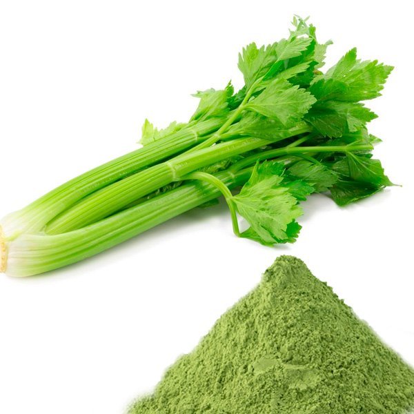 A Grade Green Celery Apium Graveolens Extract, Packaging Type: Plastic Bag, Packaging Size: 5 Kg