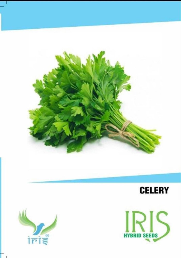 Leaves A Grade Celery, Packaging Size: 50 Seeds
