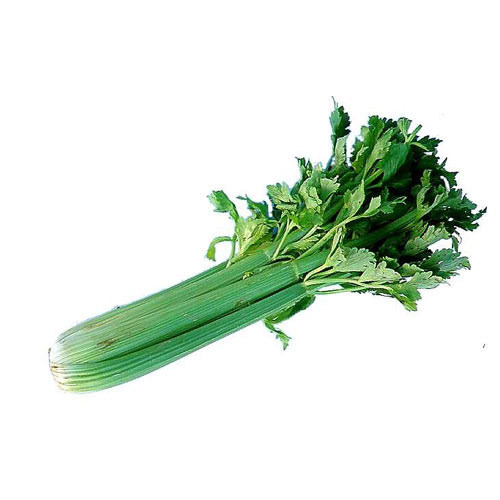 Celery
