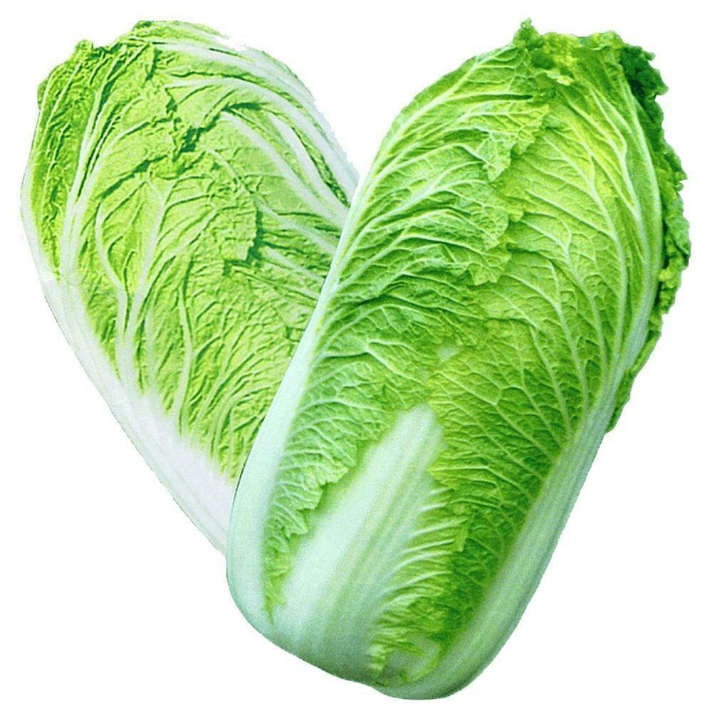A Grade Fresh Green Chinese Cabbage