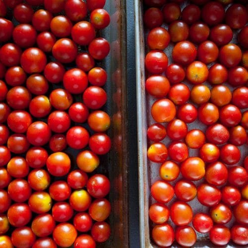 Uttar Pradesh Fresh A Grade Cherry Tomato