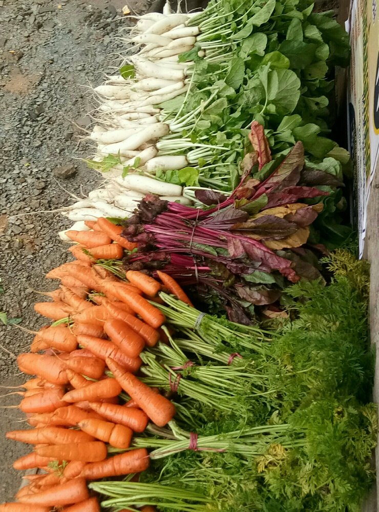 A Grade Green Vegetable, Carton, 10 Kg
