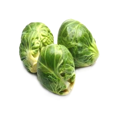 Fresh Brussels Sprout