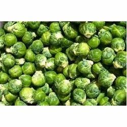 Brussel Sprout