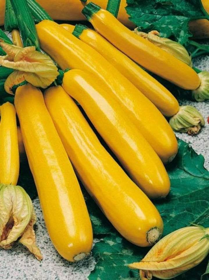 A Grade Fresh Yellow Zucchini