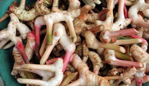 Thai Ginger