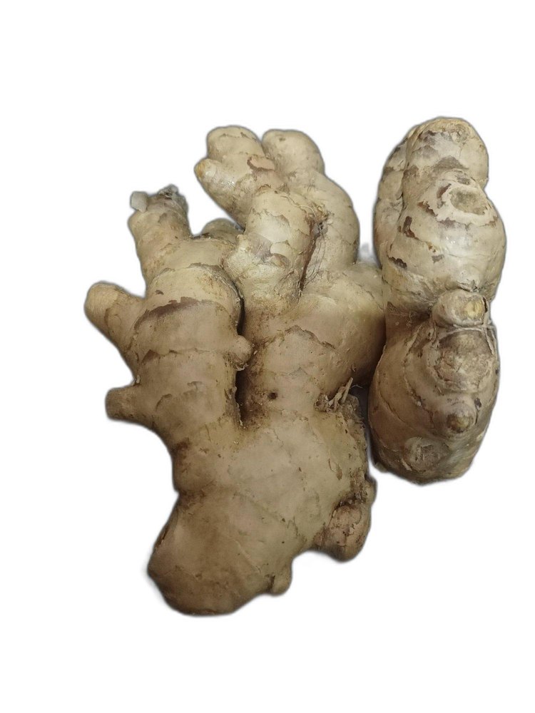 A Grade Organic Thai Ginger