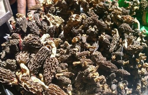 DRY MORELS MUSHROOM