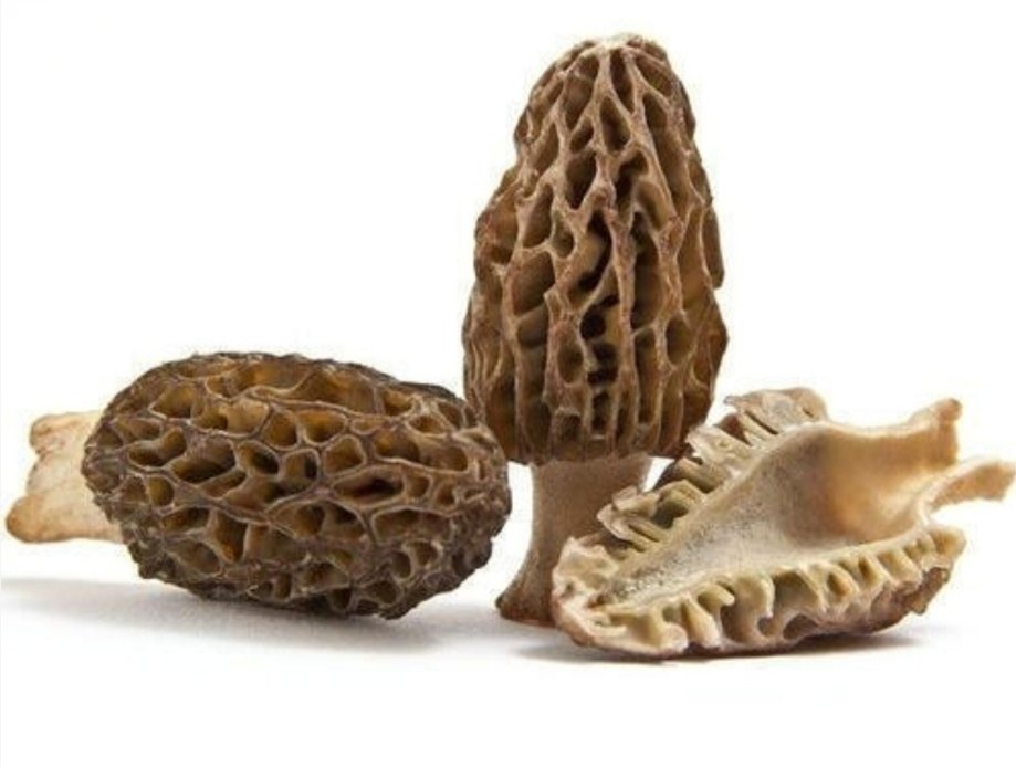 A Grade Morels mushroom, PP Bag, Packaging Size: 50 Kg