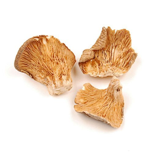A Grade Oyster Mushroom Organic Dried Mushroom, Packaging Size: 1-10 kg, Plastic Bag