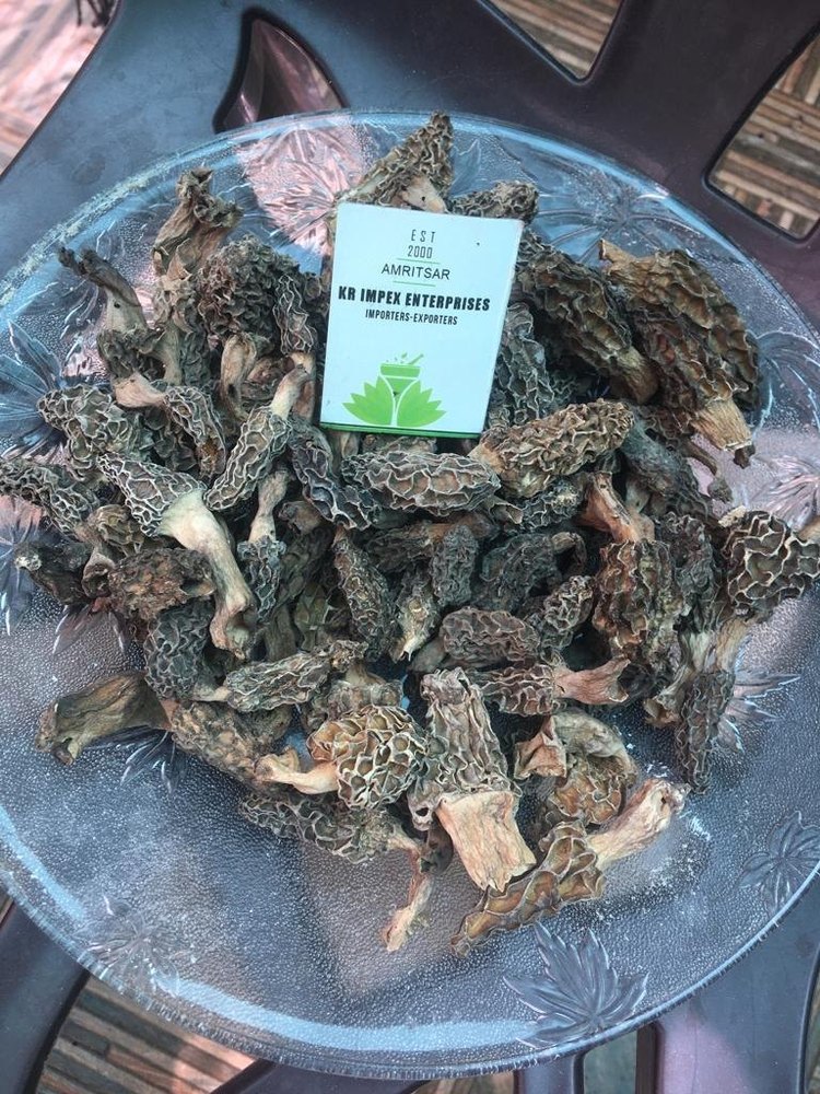 Morel Mushrooms - Gucci Mushroom, Packet