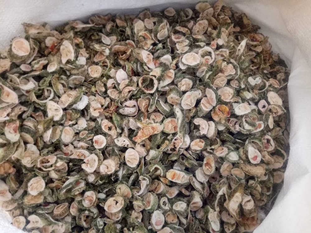 Bitter Gourd Flakes, PP Bag, Packaging Size: 10 Kg