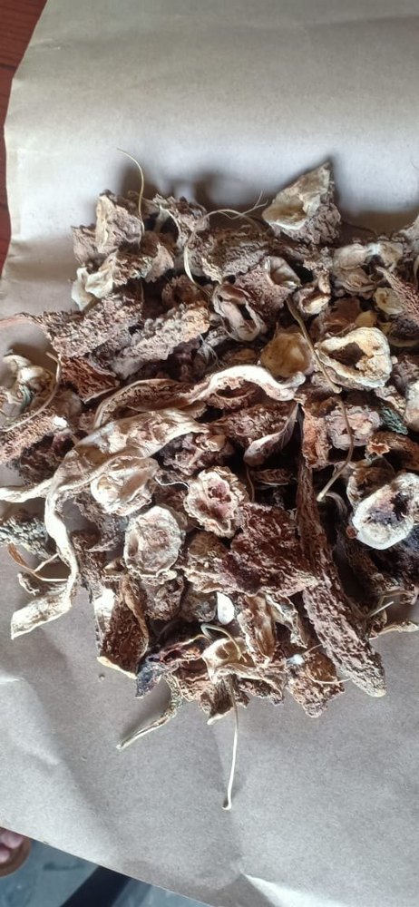 Raw Herbs Karela Momordica Charantia, Packaging Type: PP Bag, Packaging Size: 25 Kg, 50 Kg