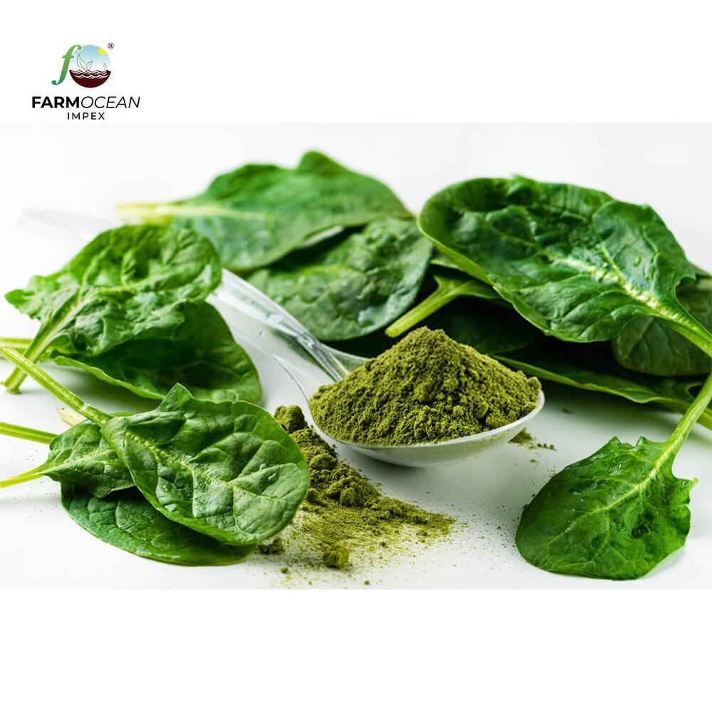 A Grade Green Dehydrated Spinach Leaves, PP Bag, Packaging Size: 1 Kg