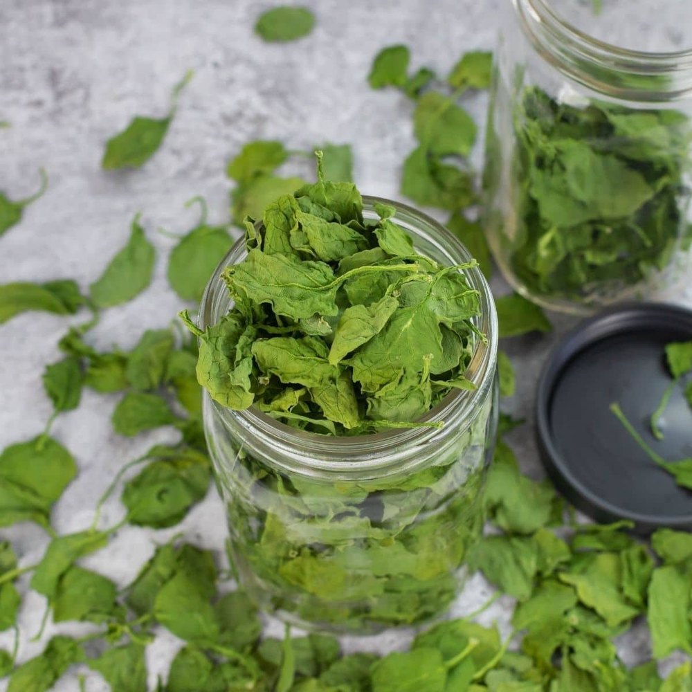 Green Dehydrated Spinach Leave Flake