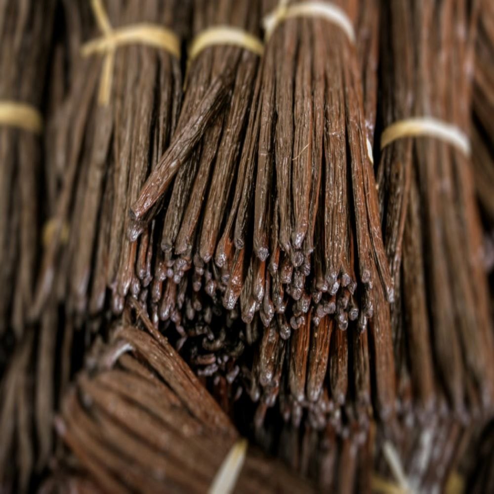 Black Organic Vanilla, Carton, A Grade