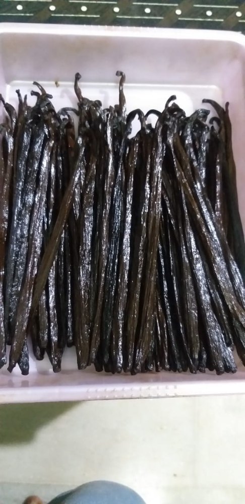 PNGR Black Vanilla Beans, A Grade, Packaging Size: 10 Kg