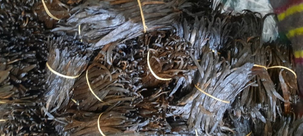 BMV Black Vanilla Beans, A Grade, Packaging Size: 5 Kg