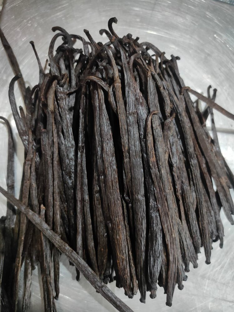 Black Vanilla Bean, A Grade