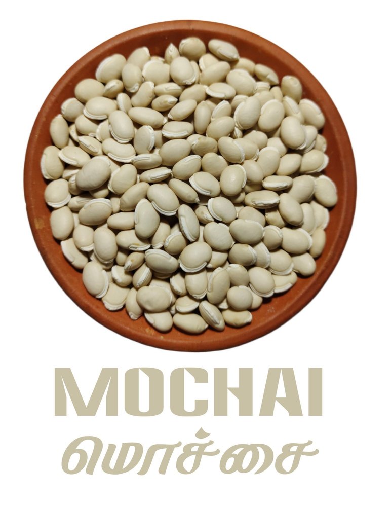 White Naatu Mochai / Lima Beans, Plastic Bag, Packaging Size: 30kg