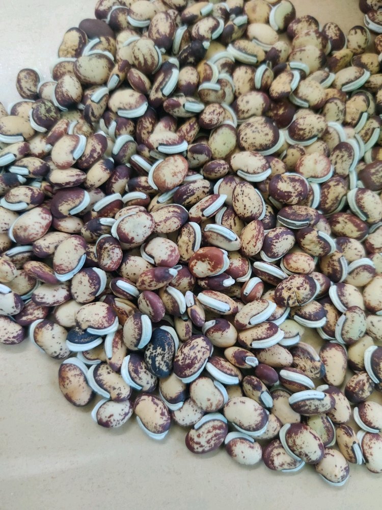 Organic Mochai Payaru, Pan India, Gluten Free