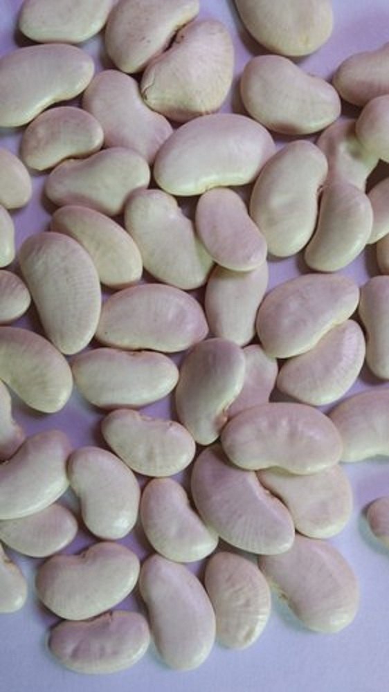 White Dried Lima Beans, Loose, A Grade