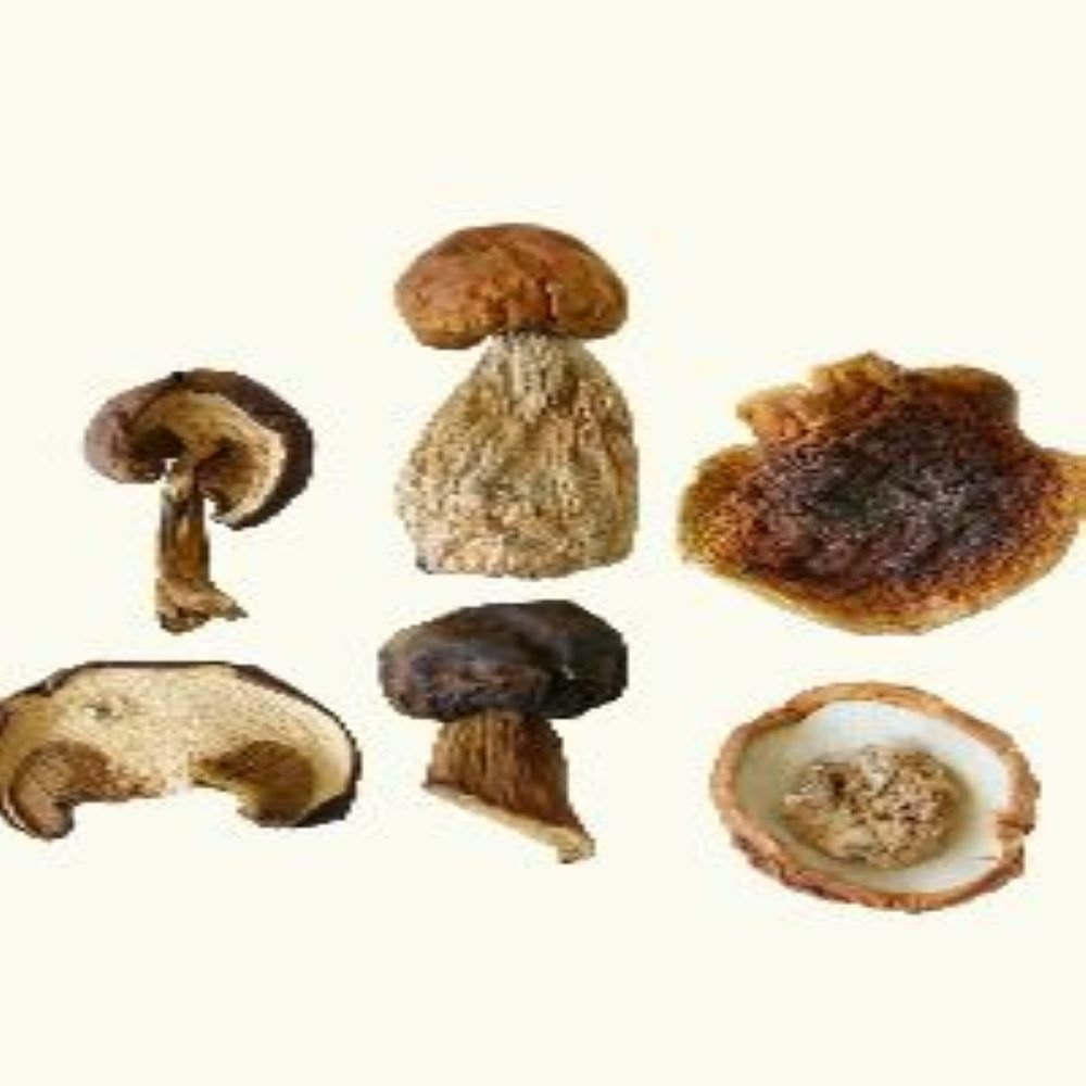 Dehydrated/ Dried Mushroom