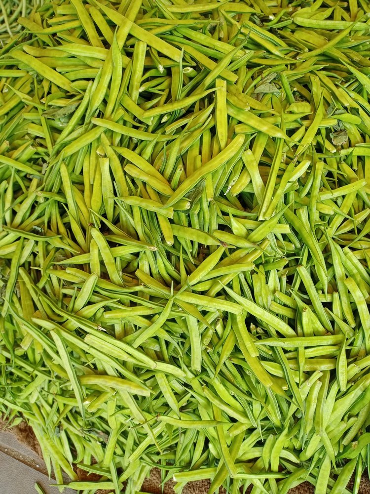Fresh Green Beans, A Grade, Is It Organic: Organic