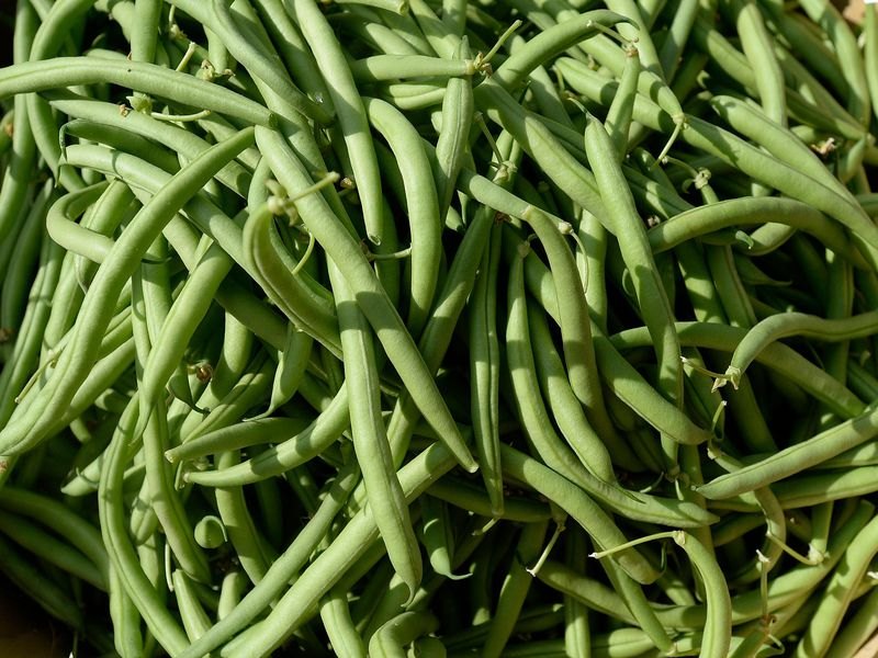 Green Beans, Net Bag, Is It Organic: Organic
