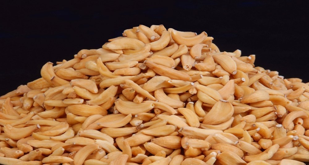 Dehydrated Dried Garlic