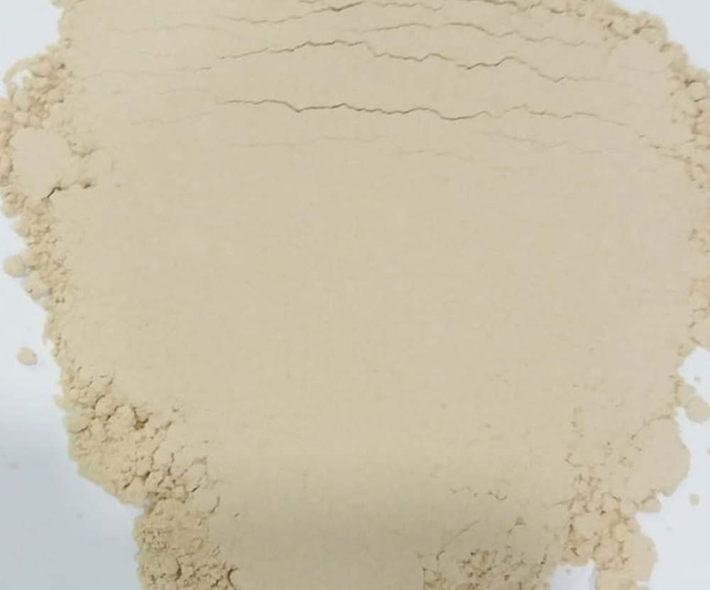 Organic Garlic Powder, Packaging Type: Loose