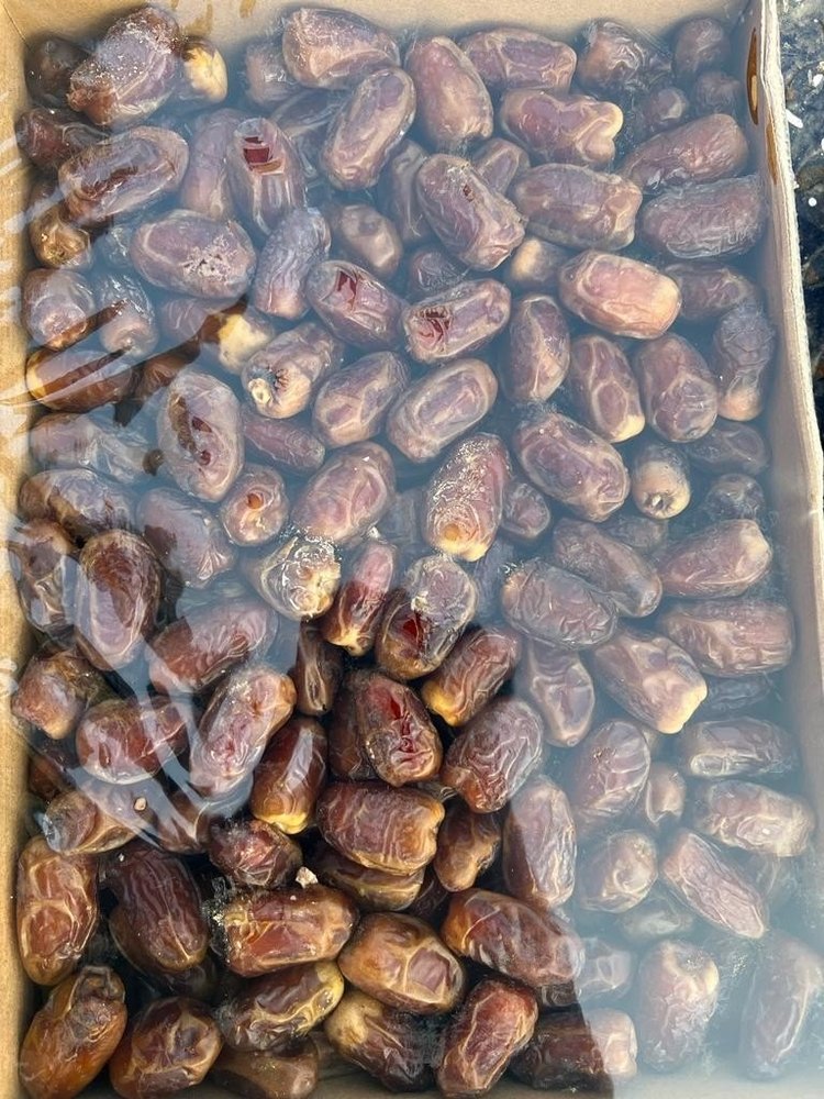 B Grade Brown Sugai dates, Packaging Size: 5 Kg, Packaging Type: Carton