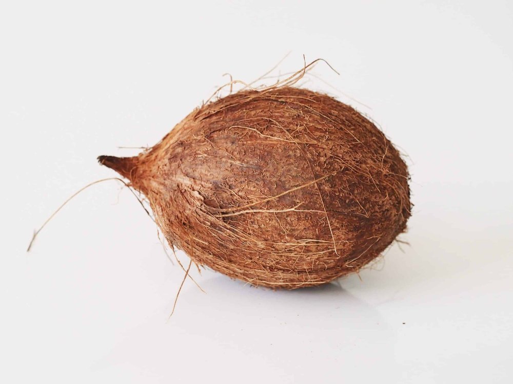 A Grade Pollachi Mature Raw Coconuts, Coconut Size: Small