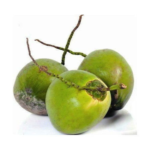 Tender Coconuts
