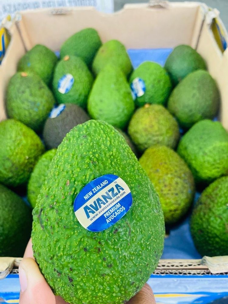 A Grade Avocado, Packaging Size: 5 Kg