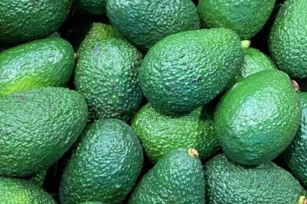 A Grade Imported Avocado Fruits, Packaging Size: 10 Kg
